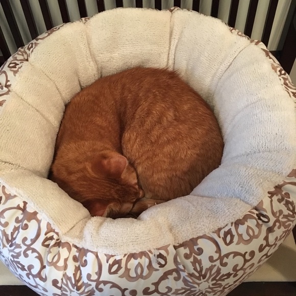 Meet your Posher, Christina - Picture 1 of 1